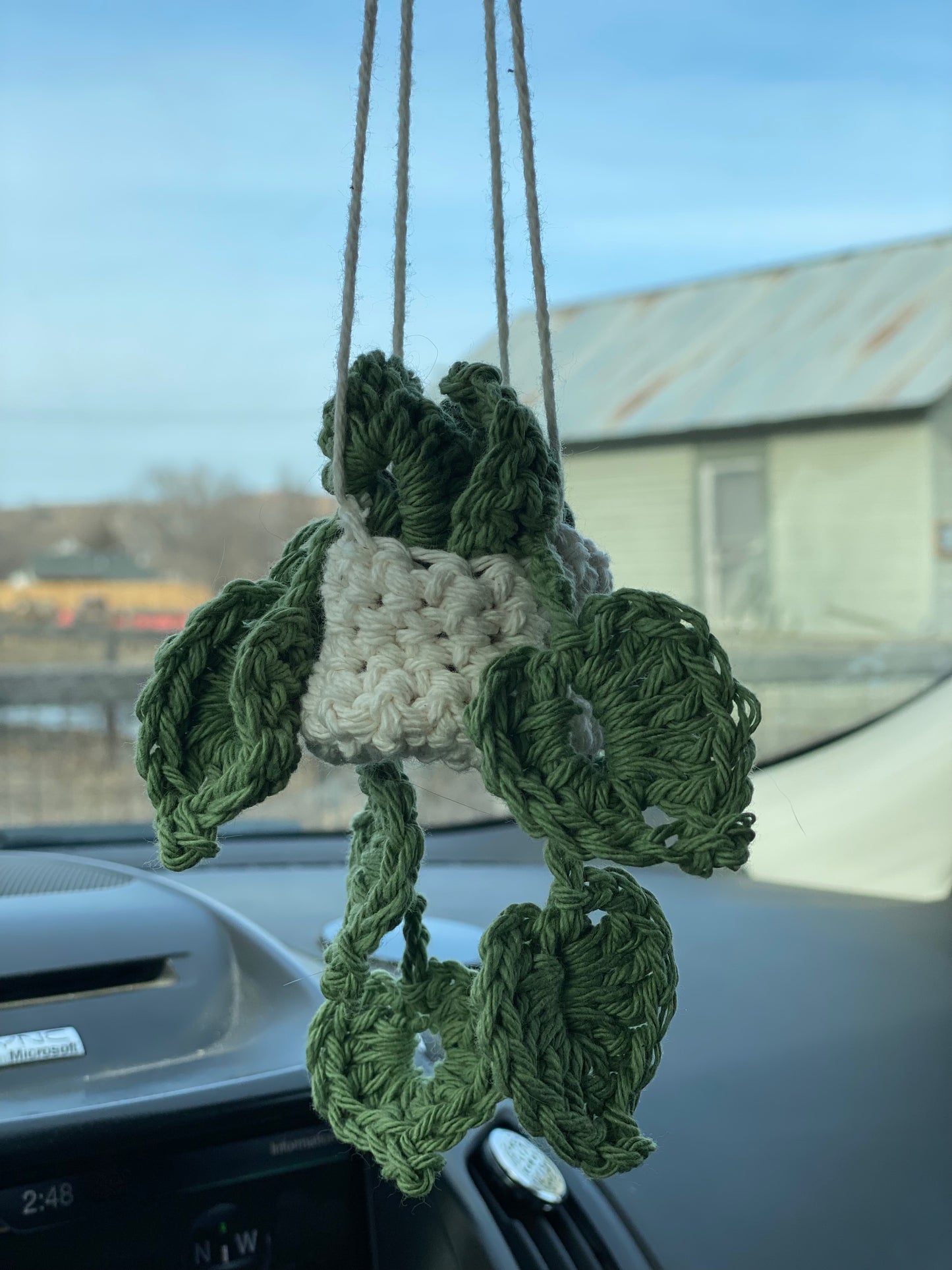 Crochet Hanging Plant
