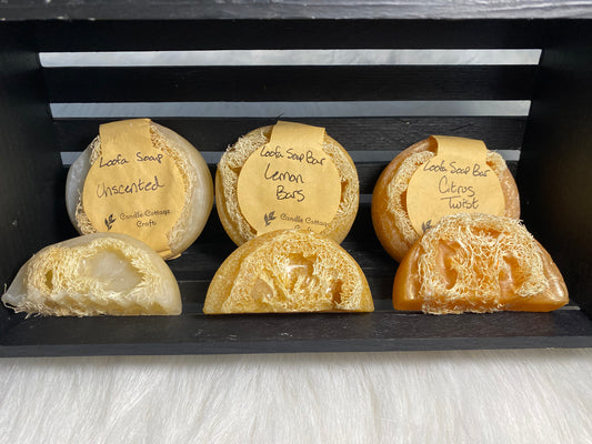 Loofa bar soap